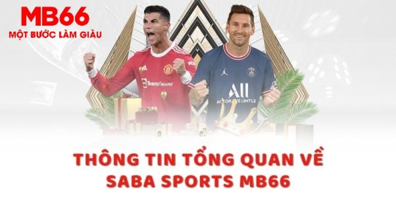 ok365 8 bí ẩn chơi nổ hũ ít ai biết