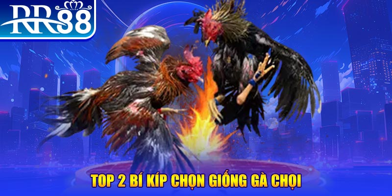 ok365 bắn cá h5