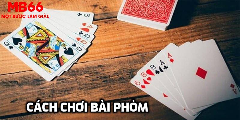 ok365 đá gà trực tiếp 88