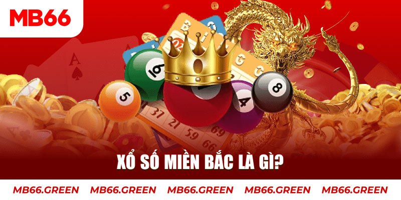 ok365 đá gà 88