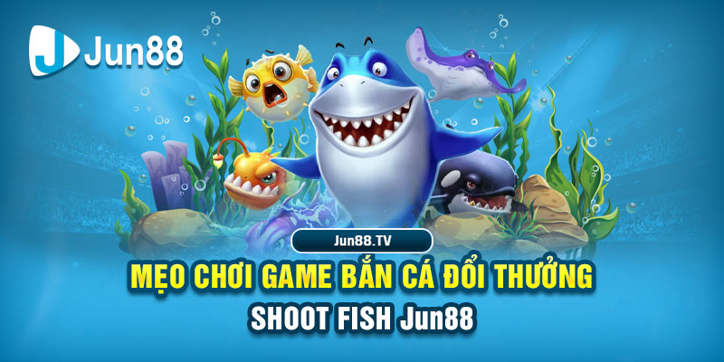 ok365 tải game đánh bài online về máy tính