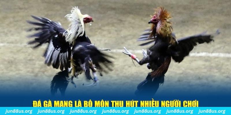 ok365 xổ số long an
