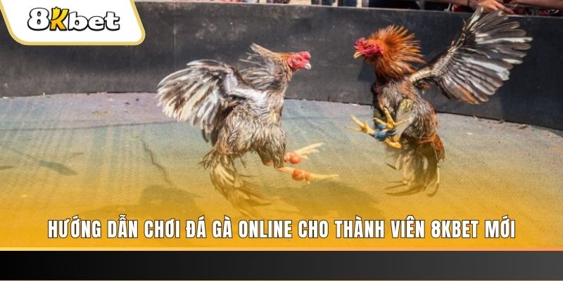 ok365 nổ hũ đổi thưởng . ai