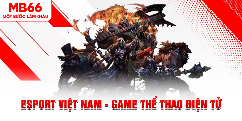 PT Điện Tử