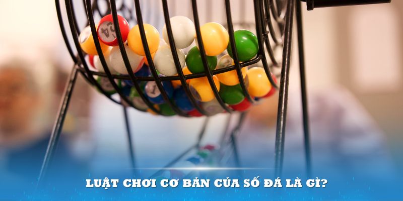 ok365 Đĩa màu ace