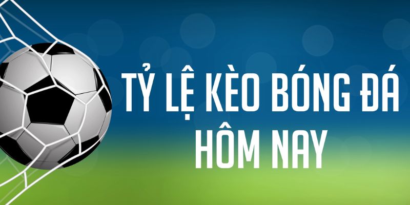 ok365 ÁT CHỦ MÁY HOA QUẢ THẦN TÀI