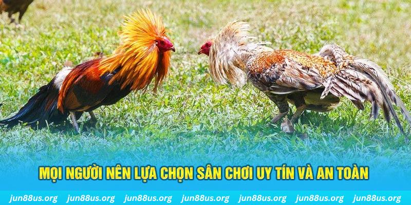 ok365 Tài Xỉu