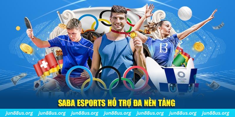 ok365 gà chọi cu cần