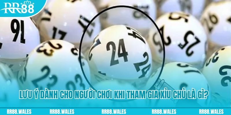 ok365 baccarat bịp như thế nào