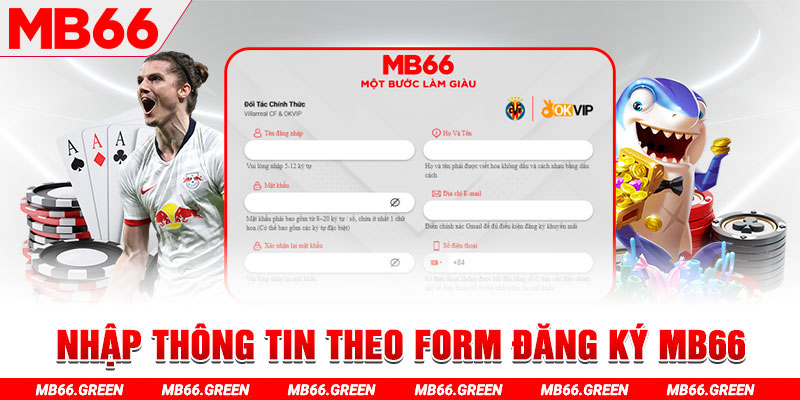 ok365 gà chọi c1 thomo