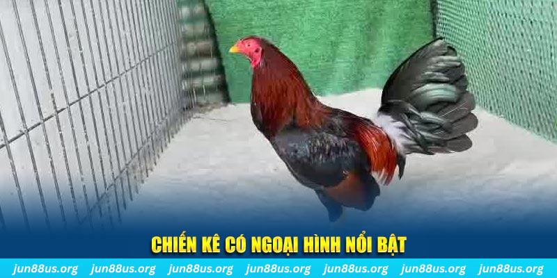 ok365 nhạc slot là gì
